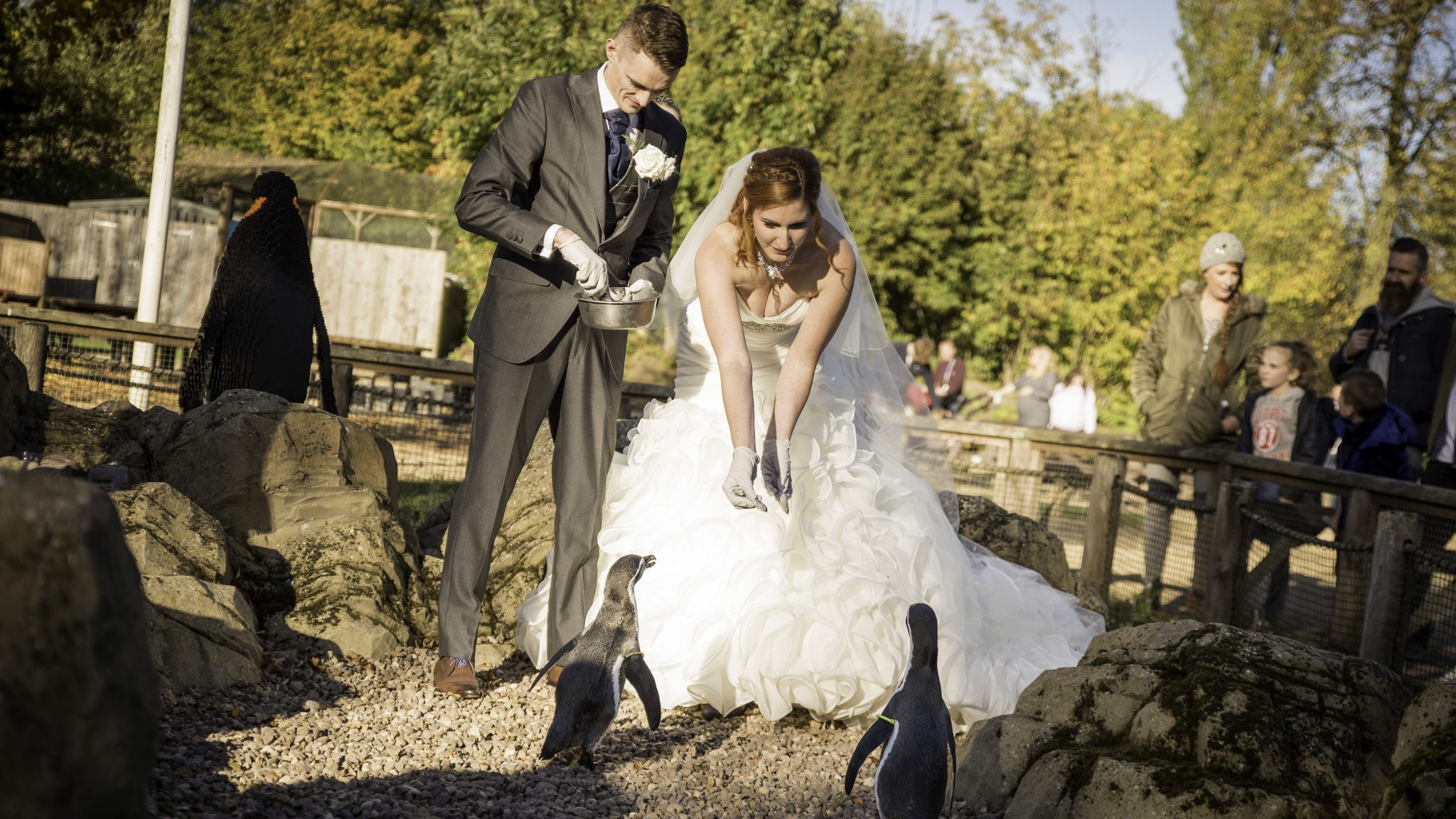 Twycross Zoo outside feeding penguins